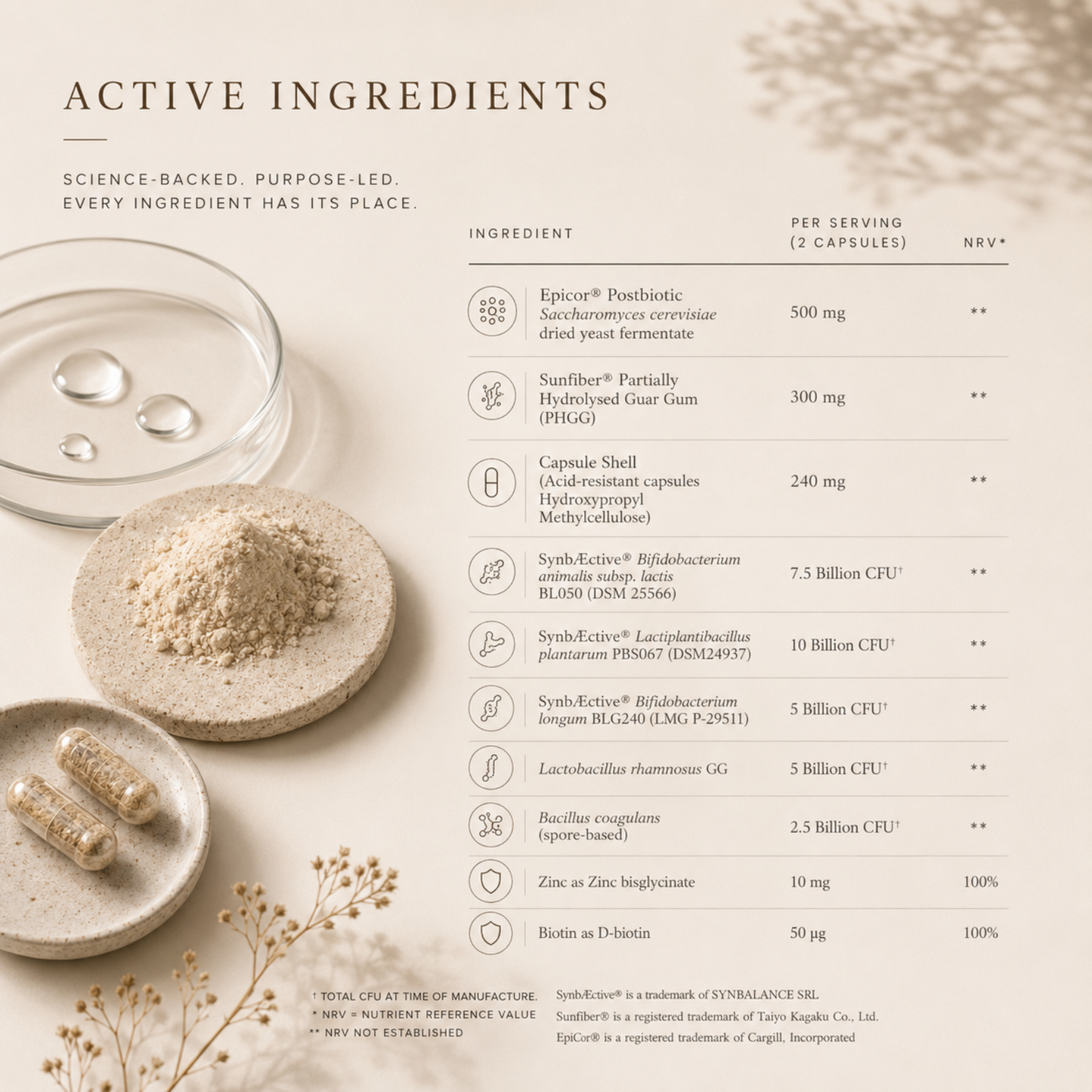 Velari Bio3tic® | Advanced Tri-Biotic Formula