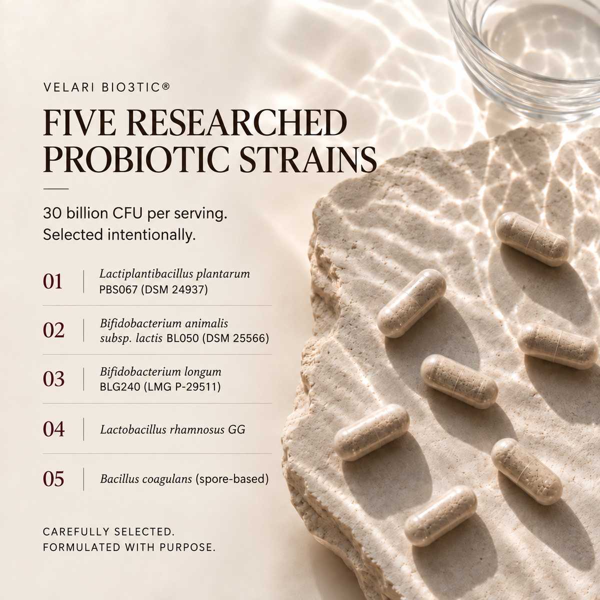 Five researched probiotic strains in Velari Bio3tic, clearly numbered from one to five